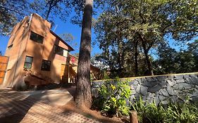 Bosque De Avandaro